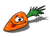 Морковь посадка и уход