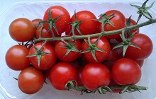 Мозаика томатов
